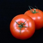 Nakladané paradajky v kyslom náleve